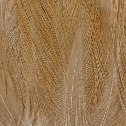 Wapsi Fly Neck Hackle