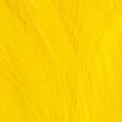 Wapsi Fly Neck Hackle