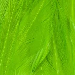 Wapsi Fly Strung Saddle Fly Tying Materials