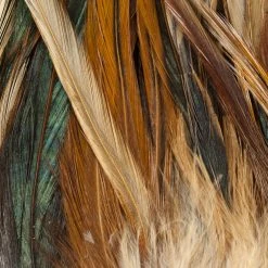 Wapsi Fly Strung Saddle Fly Tying Materials