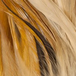 Wapsi Fly Strung Saddle Fly Tying Materials