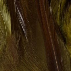 Wapsi Fly Strung Saddle Fly Tying Materials