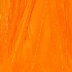 Wapsi Fly Strung Saddle Fly Tying Materials