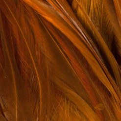 Wapsi Fly Strung Saddle Fly Tying Materials