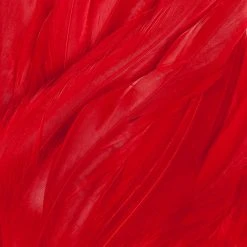 Wapsi Fly Strung Saddle Fly Tying Materials