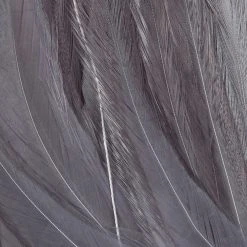 Wapsi Fly Strung Saddle Fly Tying Materials