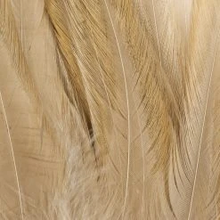 Wapsi Fly Strung Saddle Fly Tying Materials