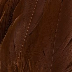 Wapsi Fly Fly Tying Materials Schlappen