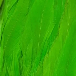 Wapsi Fly Fly Tying Materials Schlappen