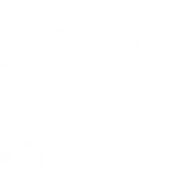 Wapsi Fly Thin Fly Foam