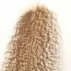 Wapsi Fly Fly Tying Materials Turkey Wing Quill