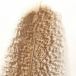 Wapsi Fly Fly Tying Materials Turkey Wing Quill