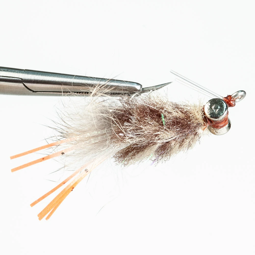 Umpqua, Inc. Action Crab, Walter's