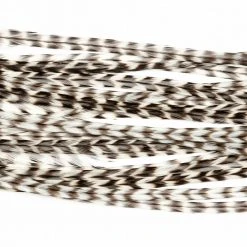 Whiting Farms, Inc. Whiting 100 Fly Pack