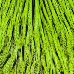 Whiting Farms, Inc. Fly Tying Materials Whiting American Rooster Cape