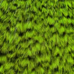 Whiting Farms, Inc. Fly Tying Materials Whiting American Rooster Cape