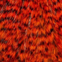 Whiting Farms, Inc. Fly Tying Materials Whiting American Rooster Cape