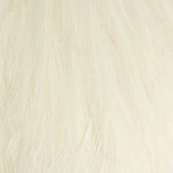 Whiting Farms, Inc. Fly Tying Materials Whiting American Rooster Cape