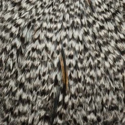 Whiting Farms, Inc. Fly Tying Materials Whiting American Rooster Cape