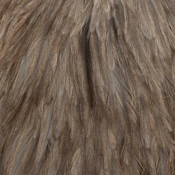 Whiting Farms, Inc. Fly Tying Materials Whiting American Rooster Cape