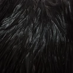 Whiting Farms, Inc. Whiting American Rooster Saddle