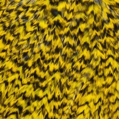 Whiting Farms, Inc. Whiting American Rooster Saddle