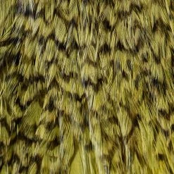 Whiting Farms, Inc. Whiting Streamer Pack