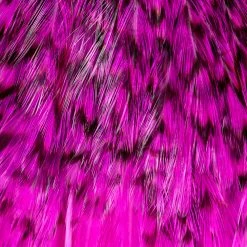 Whiting Farms, Inc. Whiting Streamer Pack