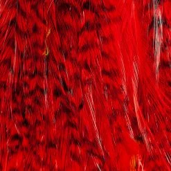 Whiting Farms, Inc. Whiting Streamer Pack