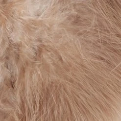 Whiting Farms, Inc. Whiting Super'Bou