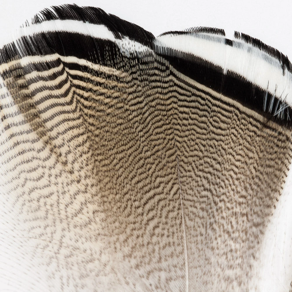 Wapsi Fly Wood Duck Fly Tying Materials